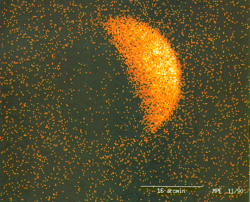 The Moon, as seen in X-ray light.